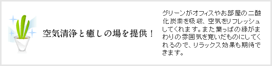 空気清浄と癒しの場を提供！