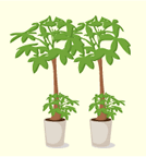 1tオフセットリース