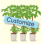 カスタマイズプラン